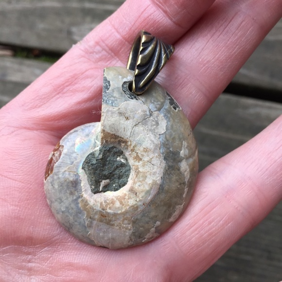 Ammonite Fossil Pendant with Brass Bail NWOT - Picture 3 of 14